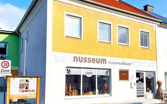 nusseum Krummnußbaum